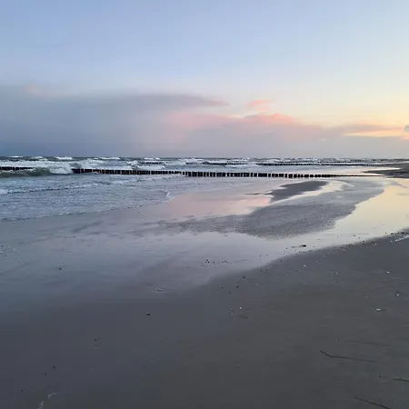 Haus Sandnelke - Domizil Am Ostseewald Apartment